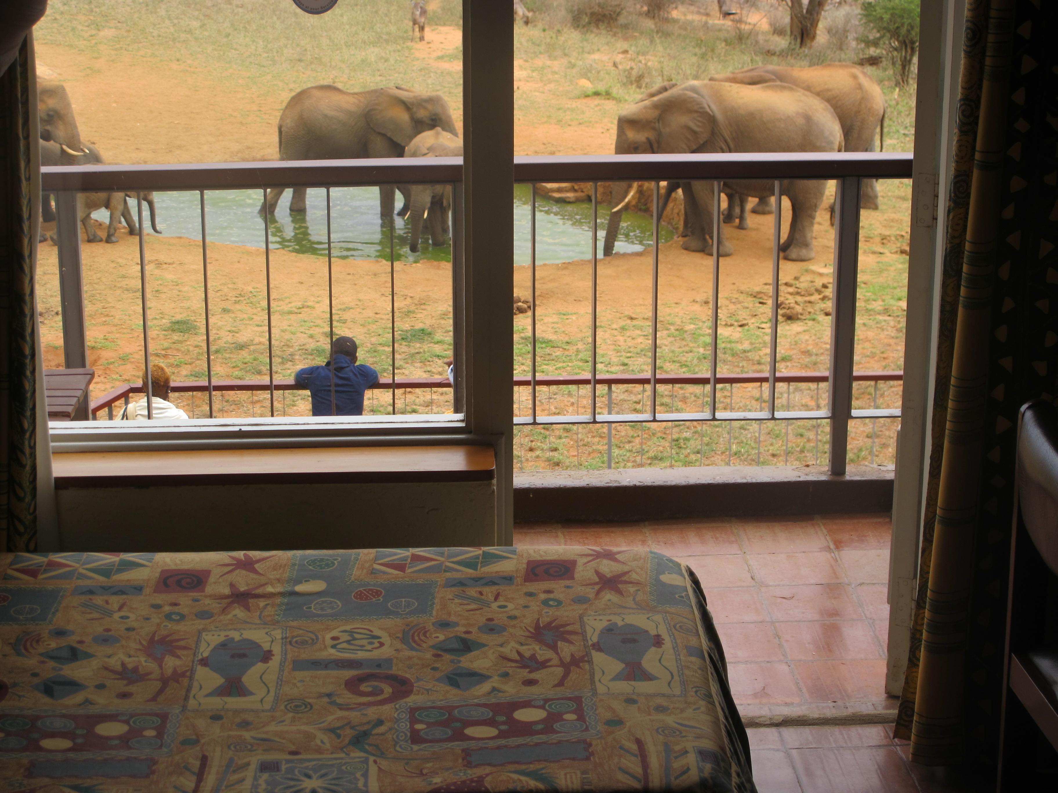Ngulia Safari Lodge Tsavo Eksteriør billede